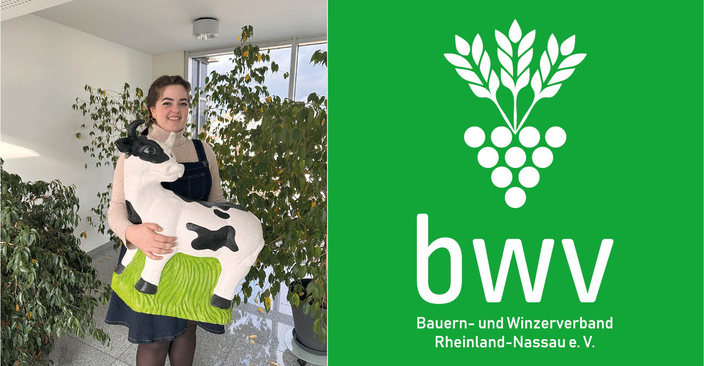 Collage aus Logo Bauern- und Winzerverband und Dame, die eine Plastekuh hält Collage aus Logo Bauern- und Winzerverband und Dame, die eine Plastekuh hält