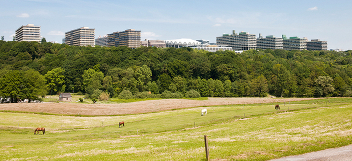 Die Gebäude der Ruhr-Universität Bochum, im Vordergrund Bäume und eine Weide mit Pferden Die Gebäude der Ruhr-Universität Bochum, im Vordergrund Bäume und eine Weide mit Pferden