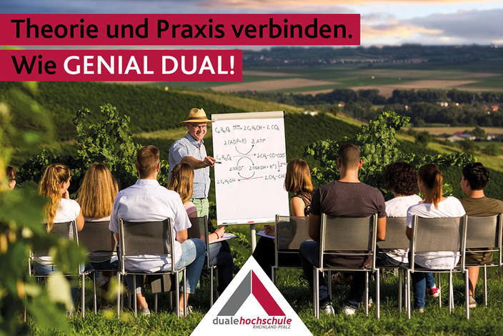 Studenten sitzen auf Stühlen im Weinberg