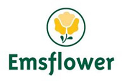Logo Emsflower