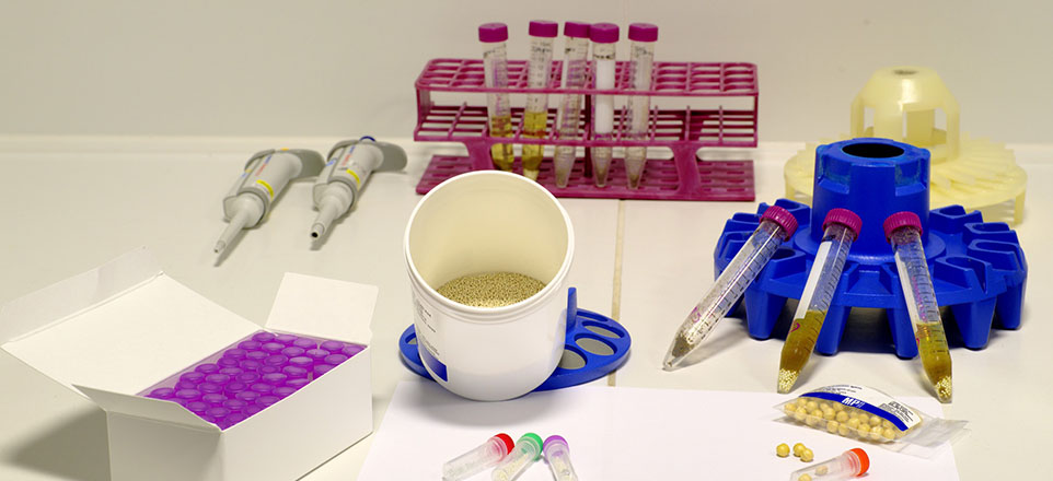 Verschiedene Arbeitsmaterialien die in der Chemie benötigt werden. Verschiedene Arbeitsmaterialien die in der Chemie benötigt werden.
