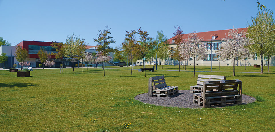 Ansicht vom Campus inklusive grünem Park