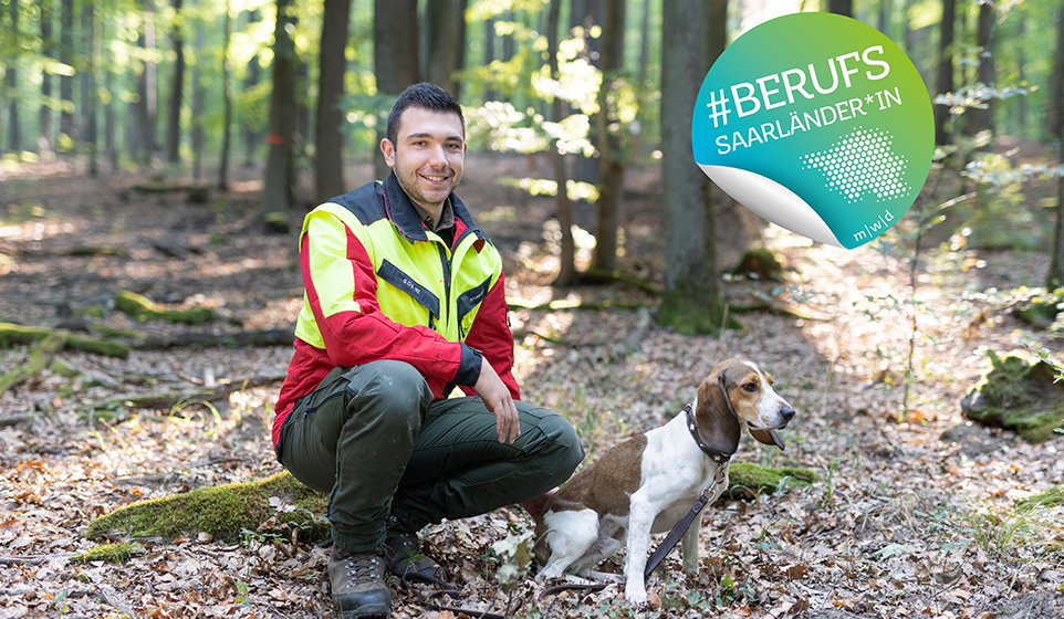 Person mit Beagle im Wald