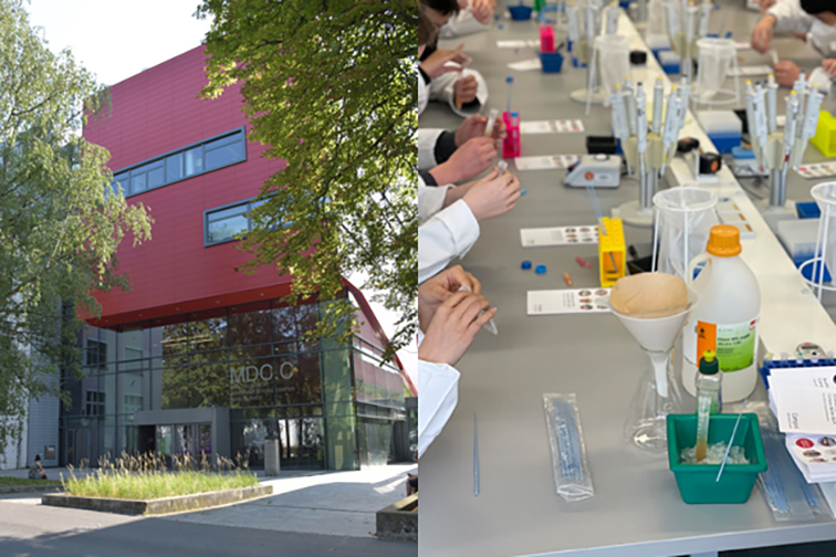 Collage: Max-Delbrück-Centrum für Molekulare Medizin in der Helmholtz-Gemeinschaft,  Berlin-Buch / Im "Gläsernen Labor" forschende Schüler*innen. (Foto: Institut für Talententwicklung)